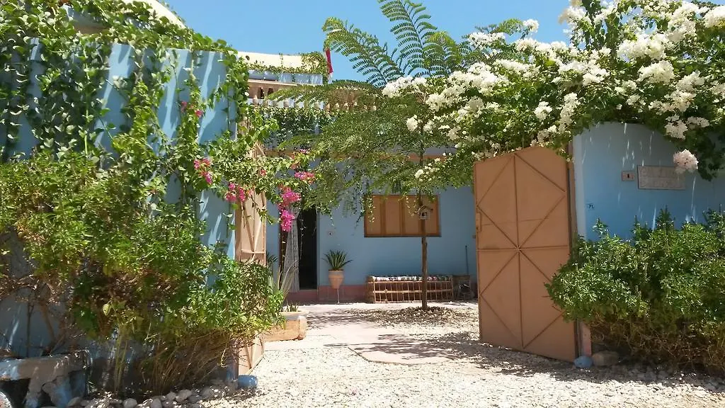 Villa Diletta Luxor 0*,  Egypt