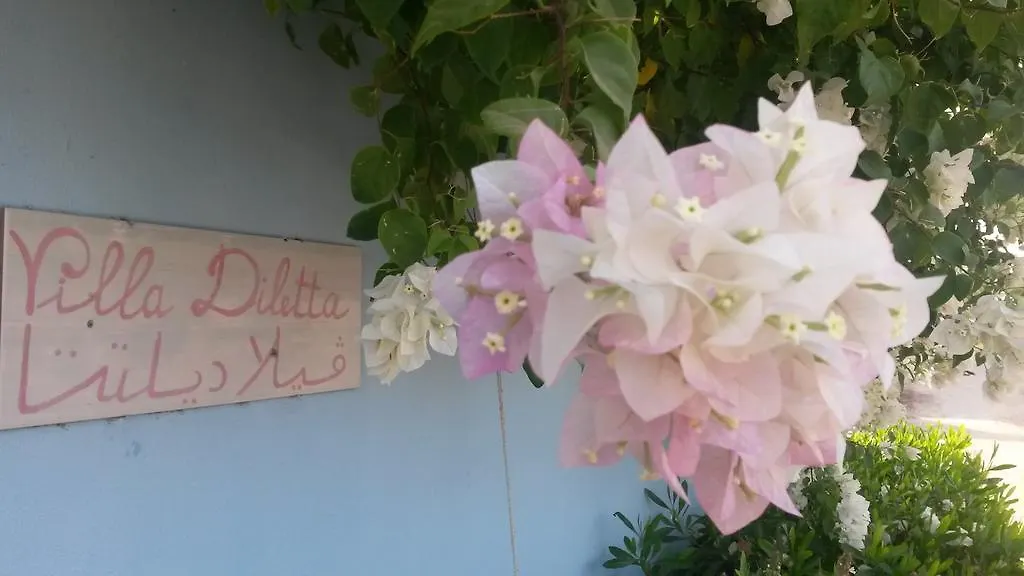 Villa Diletta Luxor Egypt
