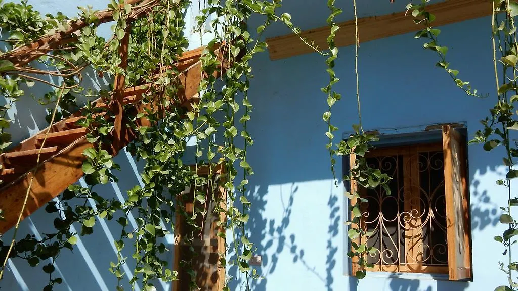 Villa Diletta Luxor 0*,  Egitto